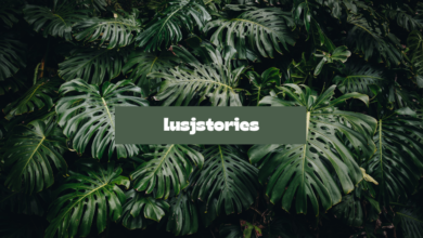 10 Must-Read Lush Stories That Will Leave You Wanting More