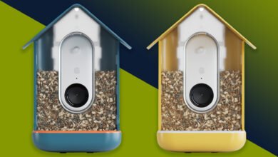 Bird Feeder Camera