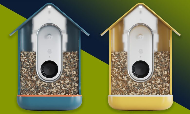 Bird Feeder Camera