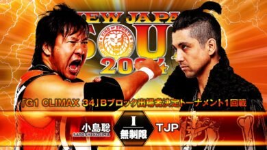 njpw wrestling new japan soul