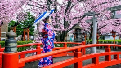 https://notipostingt.com/2022/04/26/los-mejores-destinos-turisticos-de-japon/